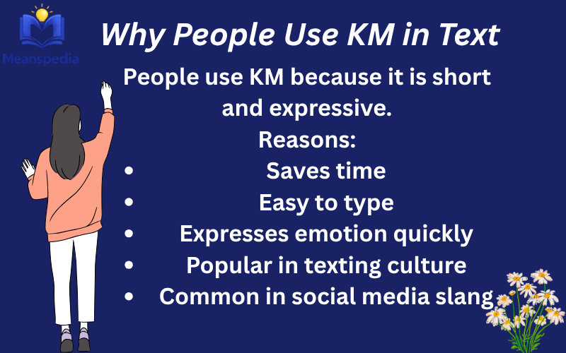 km meaning in text
